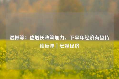 温彬等：稳增长政策加力，下半年经济有望持续反弹｜宏观经济