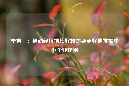 宁吉喆：推动经济持续好转需要更好地发挥中小企业作用