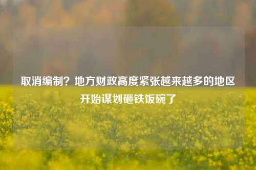 取消编制？地方财政高度紧张越来越多的地区开始谋划砸铁饭碗了