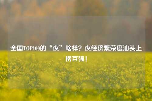 全国TOP100的“夜”啥样？夜经济繁荣度汕头上榜百强！