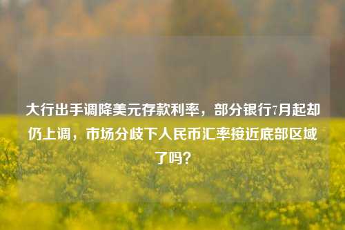 大行出手调降美元存款利率，部分银行7月起却仍上调，市场分歧下人民币汇率接近底部区域了吗？