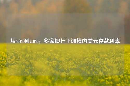 从4.3%到2.8%，多家银行下调境内美元存款利率