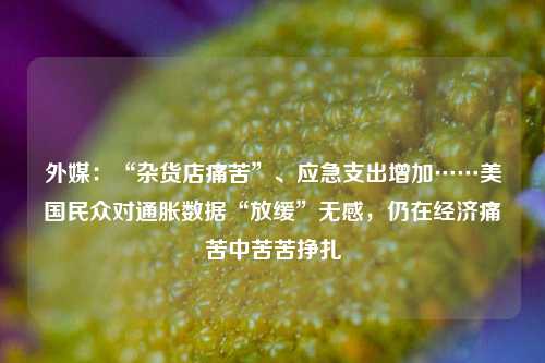 外媒：“杂货店痛苦”、应急支出增加……美国民众对通胀数据“放缓”无感，仍在经济痛苦中苦苦挣扎