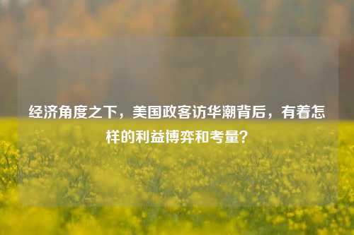 经济角度之下，美国政客访华潮背后，有着怎样的利益博弈和考量？