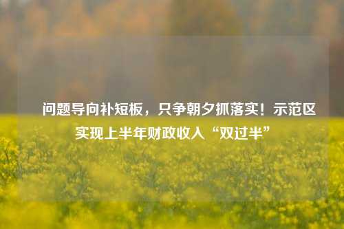 ​问题导向补短板，只争朝夕抓落实！示范区实现上半年财政收入“双过半”