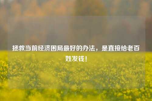拯救当前经济困局最好的办法，是直接给老百姓发钱！