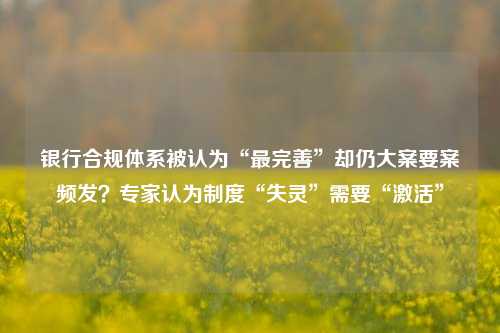 银行合规体系被认为“最完善”却仍大案要案频发？专家认为制度“失灵”需要“激活”