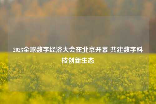 2023全球数字经济大会在北京开幕 共建数字科技创新生态