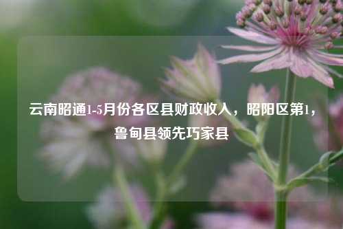 云南昭通1-5月份各区县财政收入，昭阳区第1，鲁甸县领先巧家县