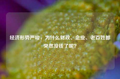 经济形势严峻，为什么财政、企业、老百姓都突然没钱了呢？ 行业新闻 第1张