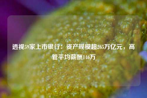 透视59家上市银行：资产规模超265万亿元，高管平均薪酬146万 行业新闻 第1张