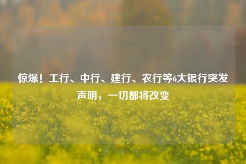 惊爆！工行、中行、建行、农行等6大银行突发声明，一切都将改变 行业新闻 第1张