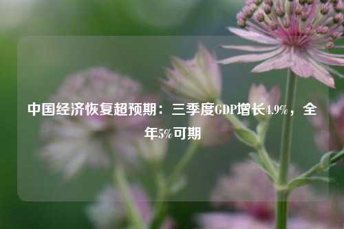 中国经济恢复超预期：三季度GDP增长4.9%，全年5%可期 行业新闻 第1张