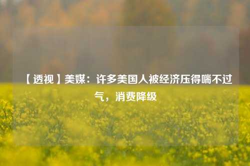 【透视】美媒：许多美国人被经济压得喘不过气，消费降级