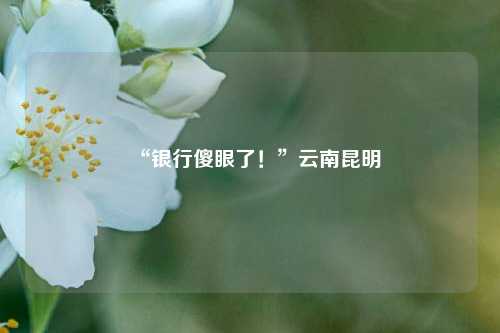 “银行傻眼了！”云南昆明