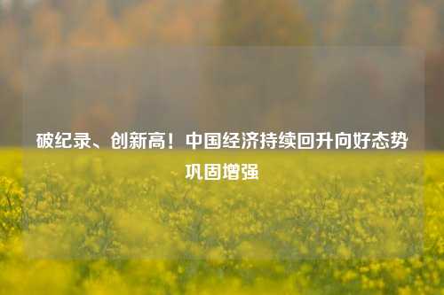 破纪录、创新高！中国经济持续回升向好态势巩固增强