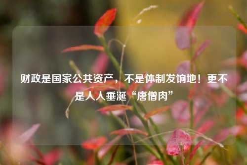 财政是国家公共资产，不是体制发饷地！更不是人人垂涎“唐僧肉”