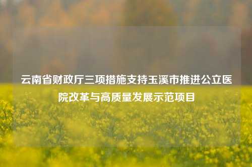 云南省财政厅三项措施支持玉溪市推进公立医院改革与高质量发展示范项目