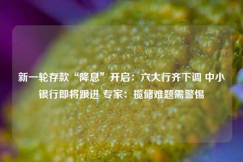 新一轮存款“降息”开启：六大行齐下调 中小银行即将跟进 专家：揽储难题需警惕