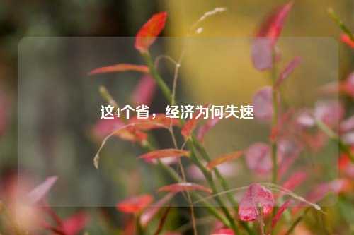 这4个省，经济为何失速