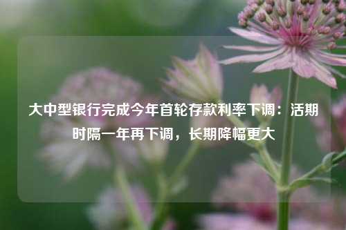 大中型银行完成今年首轮存款利率下调：活期时隔一年再下调，长期降幅更大