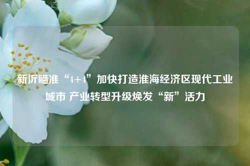 新沂瞄准“4+4”加快打造淮海经济区现代工业城市 产业转型升级焕发“新”活力