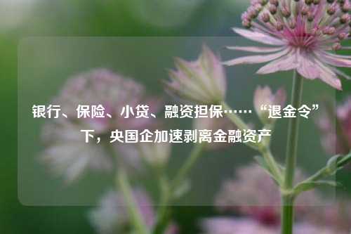 银行、保险、小贷、融资担保……“退金令”下，央国企加速剥离金融资产