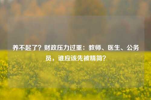 养不起了？财政压力过重：教师、医生、公务员，谁应该先被精简？