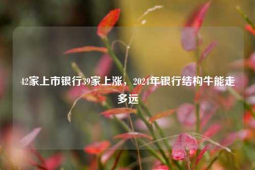 42家上市银行39家上涨，2024年银行结构牛能走多远