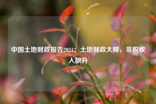 中国土地财政报告2024：土地财政大降，非税收入飙升
