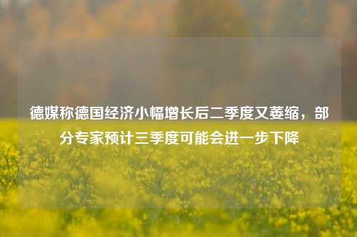 德媒称德国经济小幅增长后二季度又萎缩，部分专家预计三季度可能会进一步下降