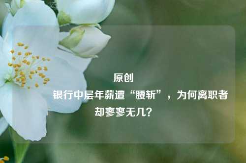 原创 银行中层年薪遭“腰斩”，为何离职者却寥寥无几？