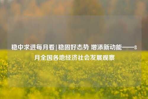 稳中求进每月看|稳固好态势 增添新动能——8月全国各地经济社会发展观察