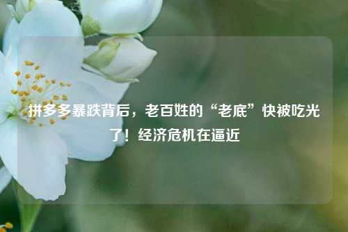 拼多多暴跌背后，老百姓的“老底”快被吃光了！经济危机在逼近