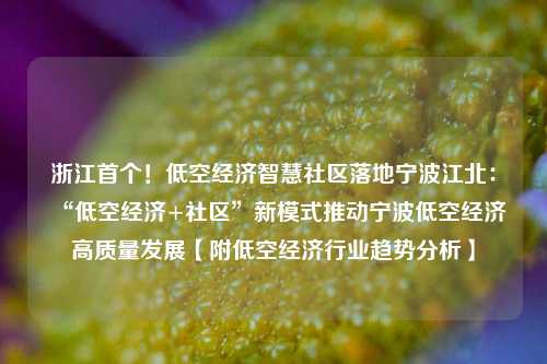 浙江首个！低空经济智慧社区落地宁波江北：“低空经济+社区”新模式推动宁波低空经济高质量发展【附低空经济行业趋势分析】