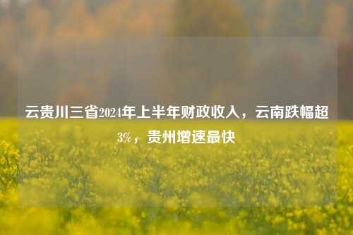 云贵川三省2024年上半年财政收入，云南跌幅超3%，贵州增速最快