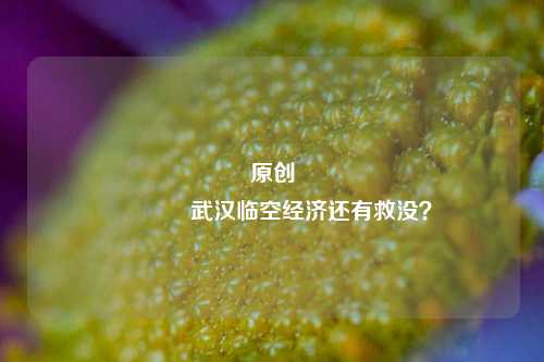 原创 武汉临空经济还有救没？