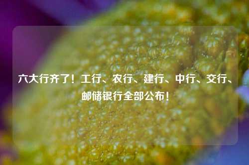 六大行齐了！工行、农行、建行、中行、交行、邮储银行全部公布！