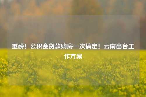 重磅！公积金贷款购房一次搞定！云南出台工作方案