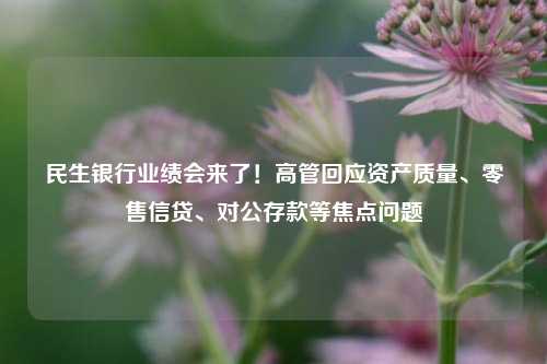 民生银行业绩会来了！高管回应资产质量、零售信贷、对公存款等焦点问题