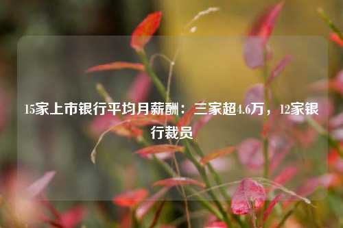 15家上市银行平均月薪酬：三家超4.6万，12家银行裁员