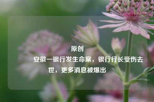 原创 安徽一银行发生命案，银行行长受伤去世，更多消息被爆出