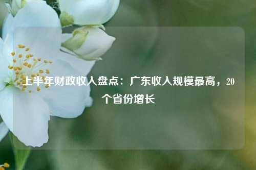上半年财政收入盘点：广东收入规模最高，20个省份增长