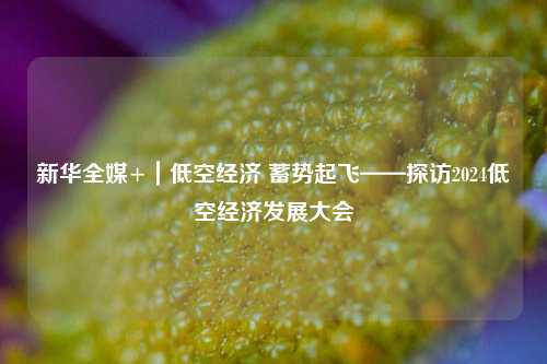 新华全媒+｜低空经济 蓄势起飞——探访2024低空经济发展大会