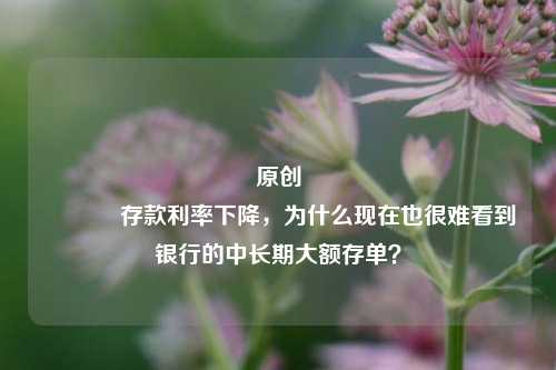 原创 存款利率下降，为什么现在也很难看到银行的中长期大额存单？