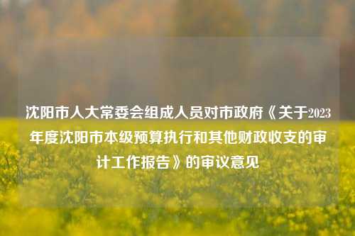 沈阳市人大常委会组成人员对市政府《关于2023年度沈阳市本级预算执行和其他财政收支的审计工作报告》的审议意见