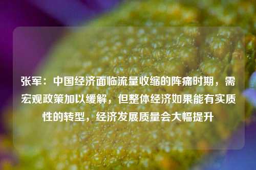 张军：中国经济面临流量收缩的阵痛时期，需宏观政策加以缓解，但整体经济如果能有实质性的转型，经济发展质量会大幅提升
