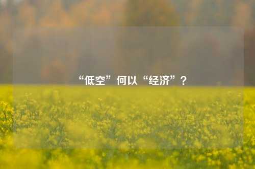 “低空”何以“经济”？