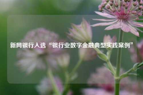 新网银行入选“银行业数字金融典型实践案例”