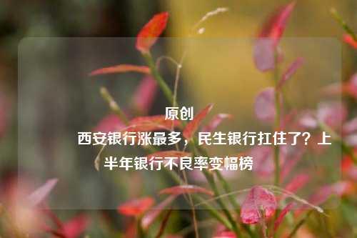 原创 西安银行涨最多，民生银行扛住了？上半年银行不良率变幅榜